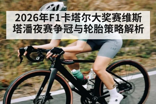 2026年F1卡塔尔大奖赛维斯塔潘夜赛争冠与轮胎策略解析